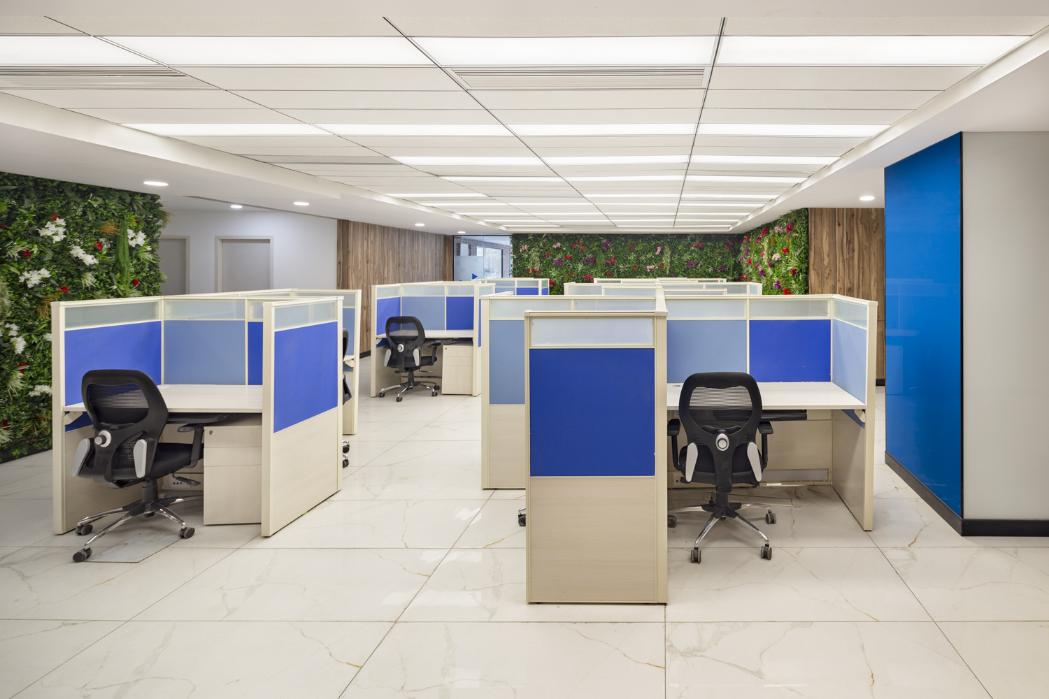 MOMENTUM INTERIORS