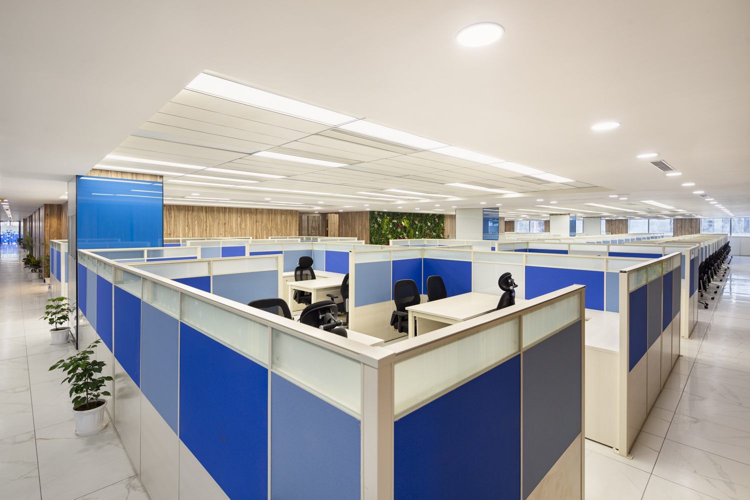 MOMENTUM INTERIORS